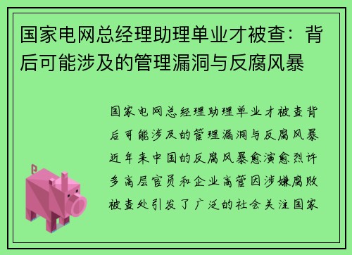 国家电网总经理助理单业才被查：背后可能涉及的管理漏洞与反腐风暴