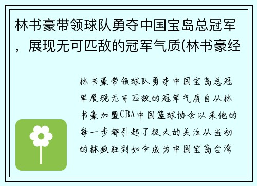 林书豪带领球队勇夺中国宝岛总冠军，展现无可匹敌的冠军气质(林书豪经典比赛)
