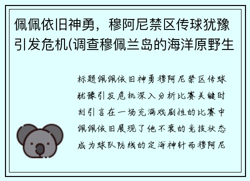 佩佩依旧神勇，穆阿尼禁区传球犹豫引发危机(调查穆佩兰岛的海洋原野生态)