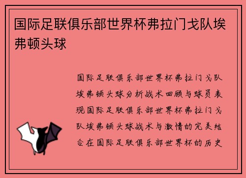 国际足联俱乐部世界杯弗拉门戈队埃弗顿头球